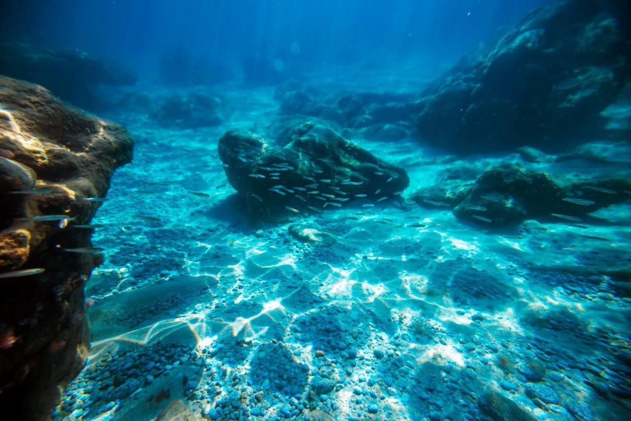 Hotel La Fattoria Sul Mare Capo Vaticano Kültér fotó